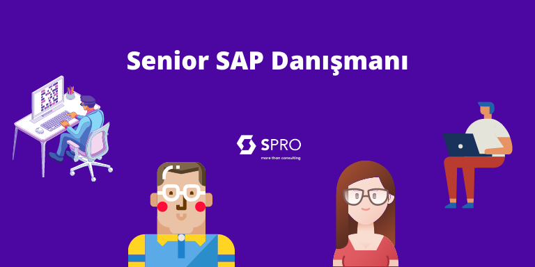  Senior SAP Consultant 